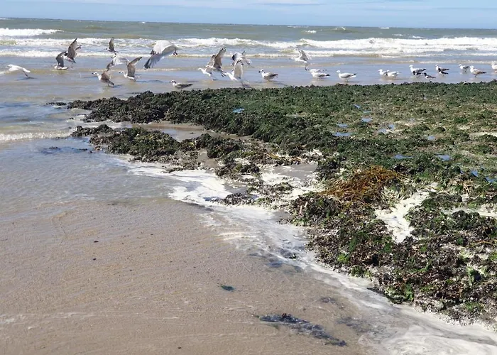 1 With Wonderful View Den Helder